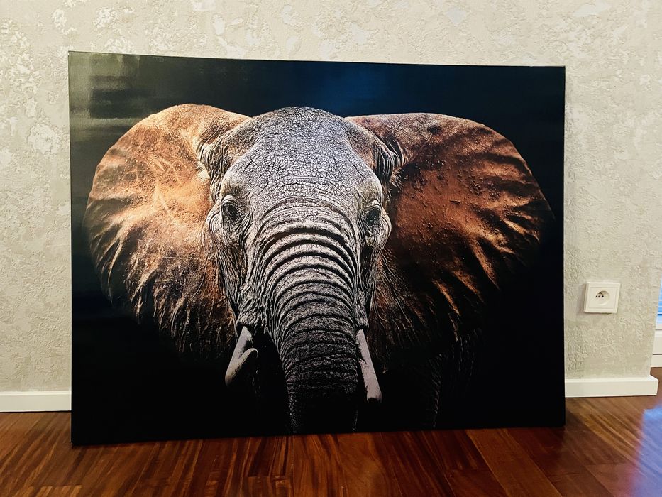 Obraz Canvas Elephant Silver 113x85