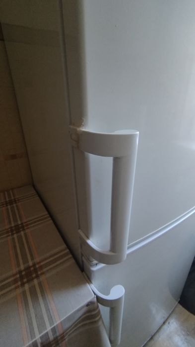 Chłodziarko-zamrażarka wolnostojąca FK326.3 Amica