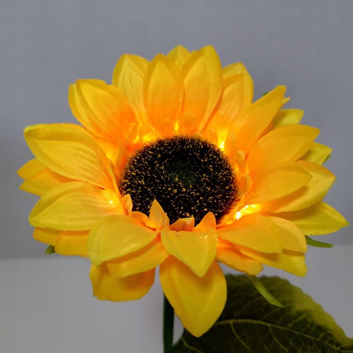 Słonecznik solarny LED 75 cm