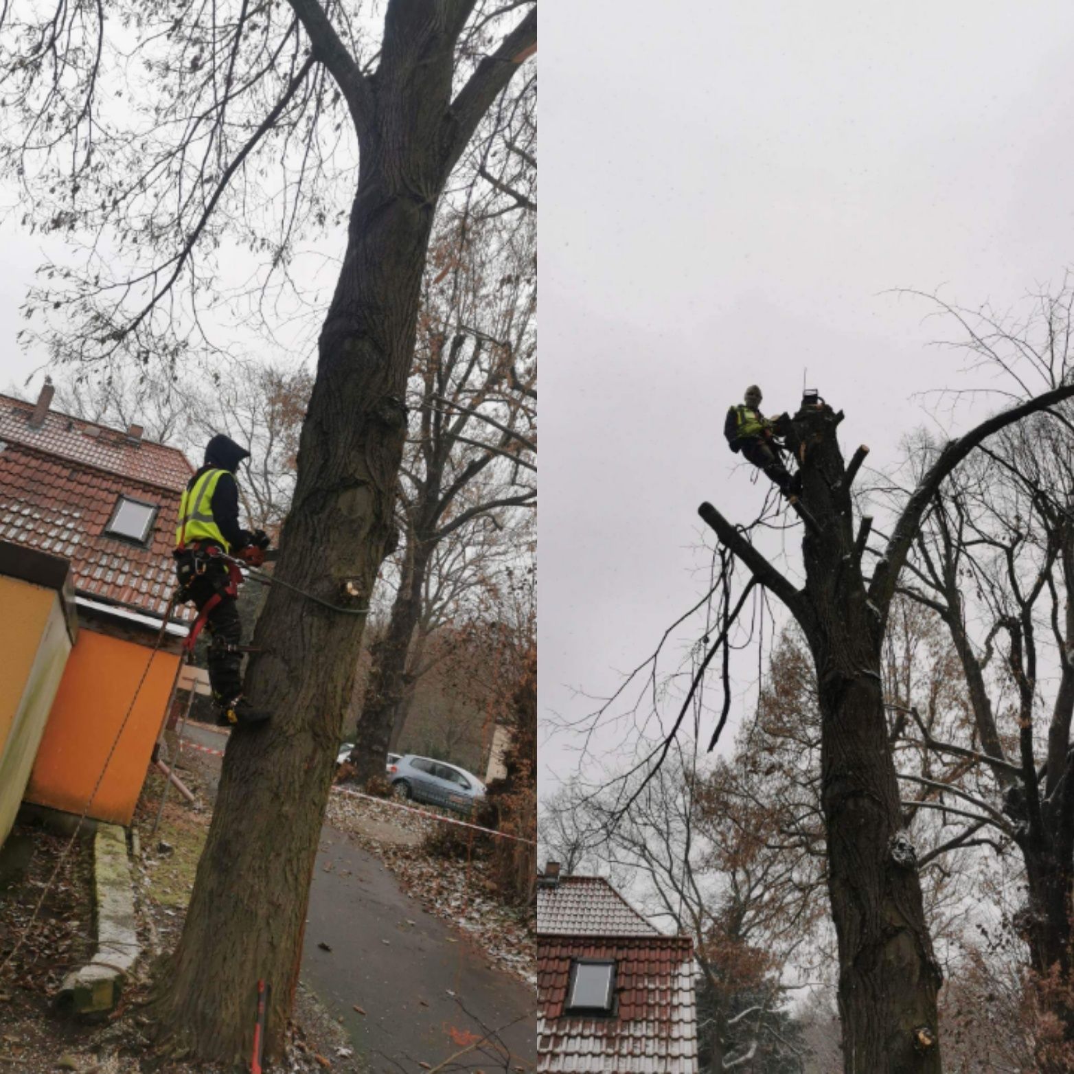 Podnośnik/Wycinka drzew sekcyjna/czyszczenie działek/rębakowanie