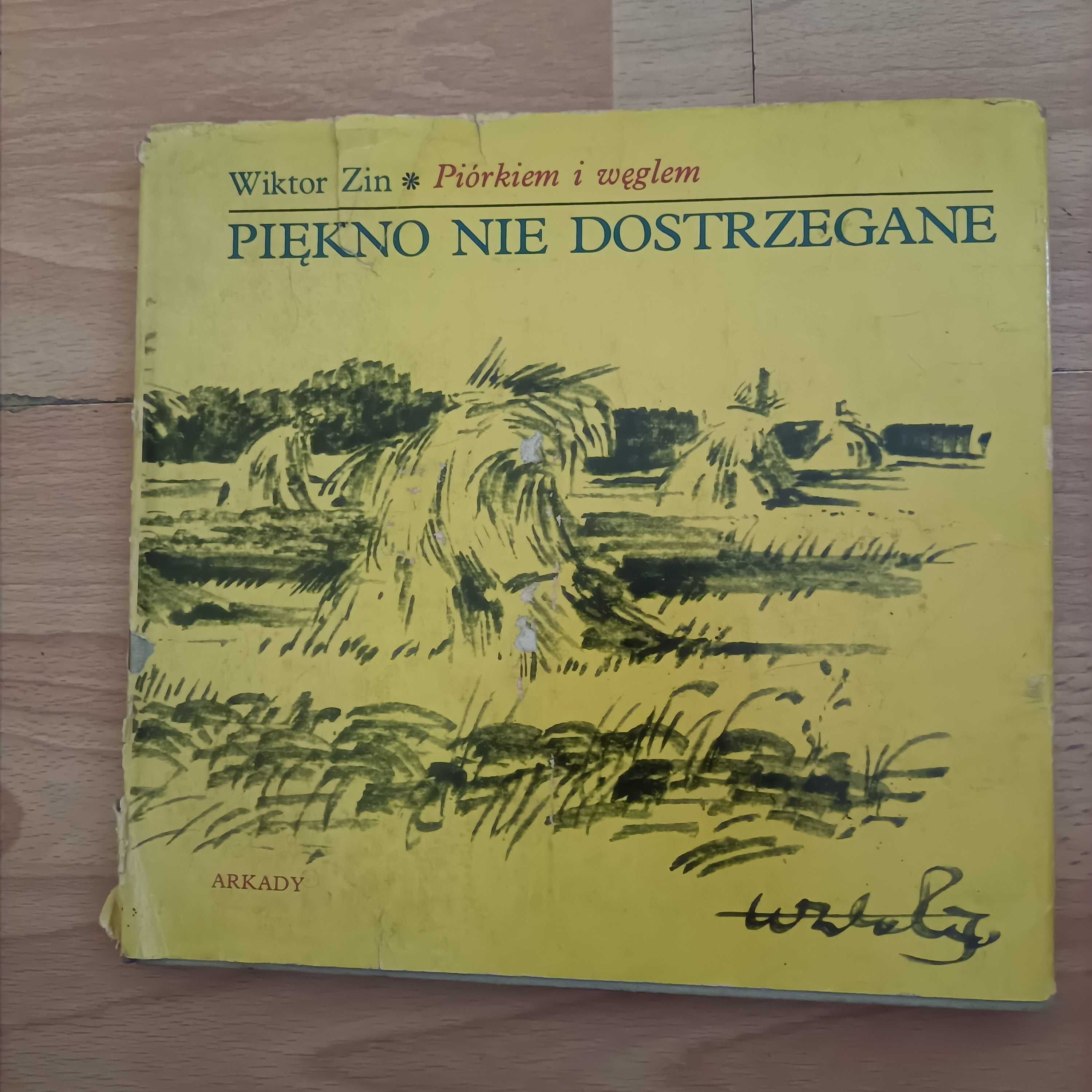 Wiktor Zin Piórkiem i węglem Piękno niedostzegane