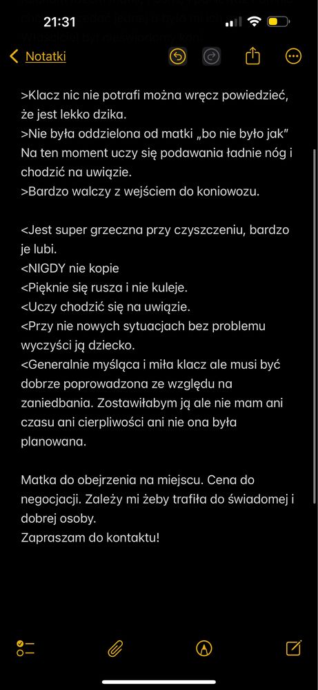 Klacz huculska 3l (HROBRY)