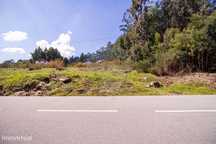Terreno  para venda