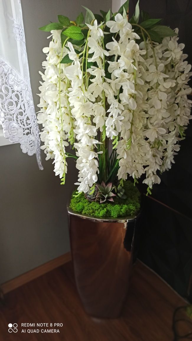 Piękny Kwiat Wisteria. Glamour