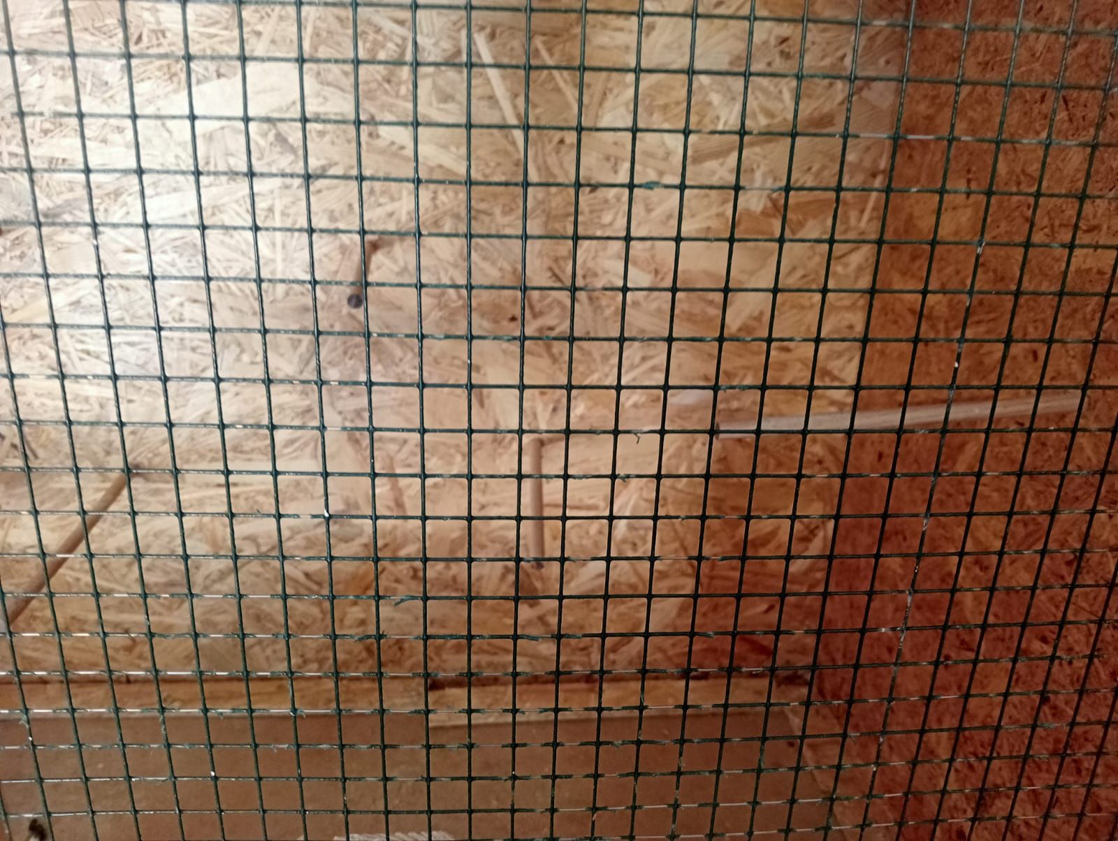 Gaiola para passaros