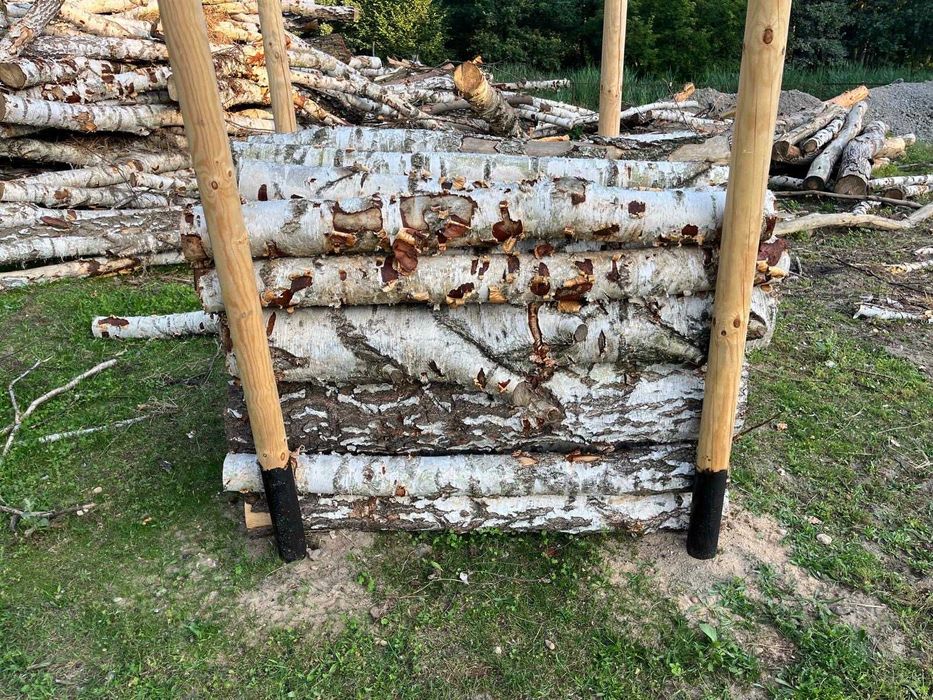 Drzewo drewno opałowe dąb, brzoza, sosna