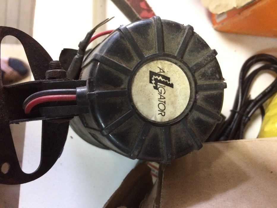 сирена аллигатор