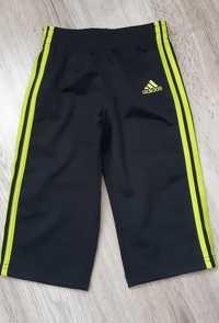 Spodnie adidas rozm. 92