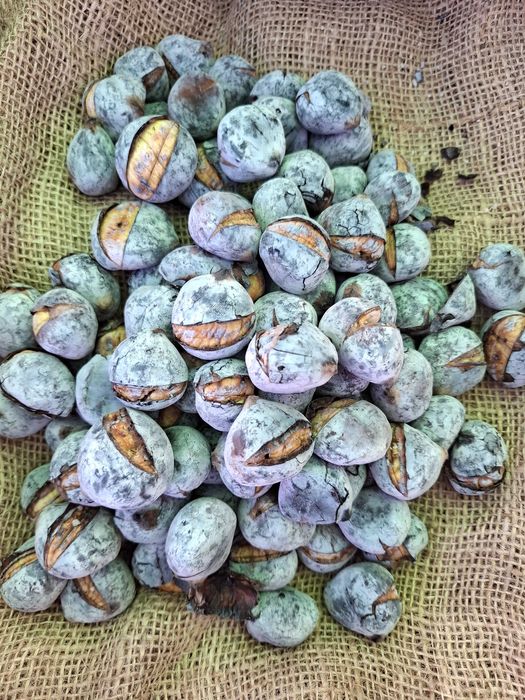 Serviço de Assador de Castanhas