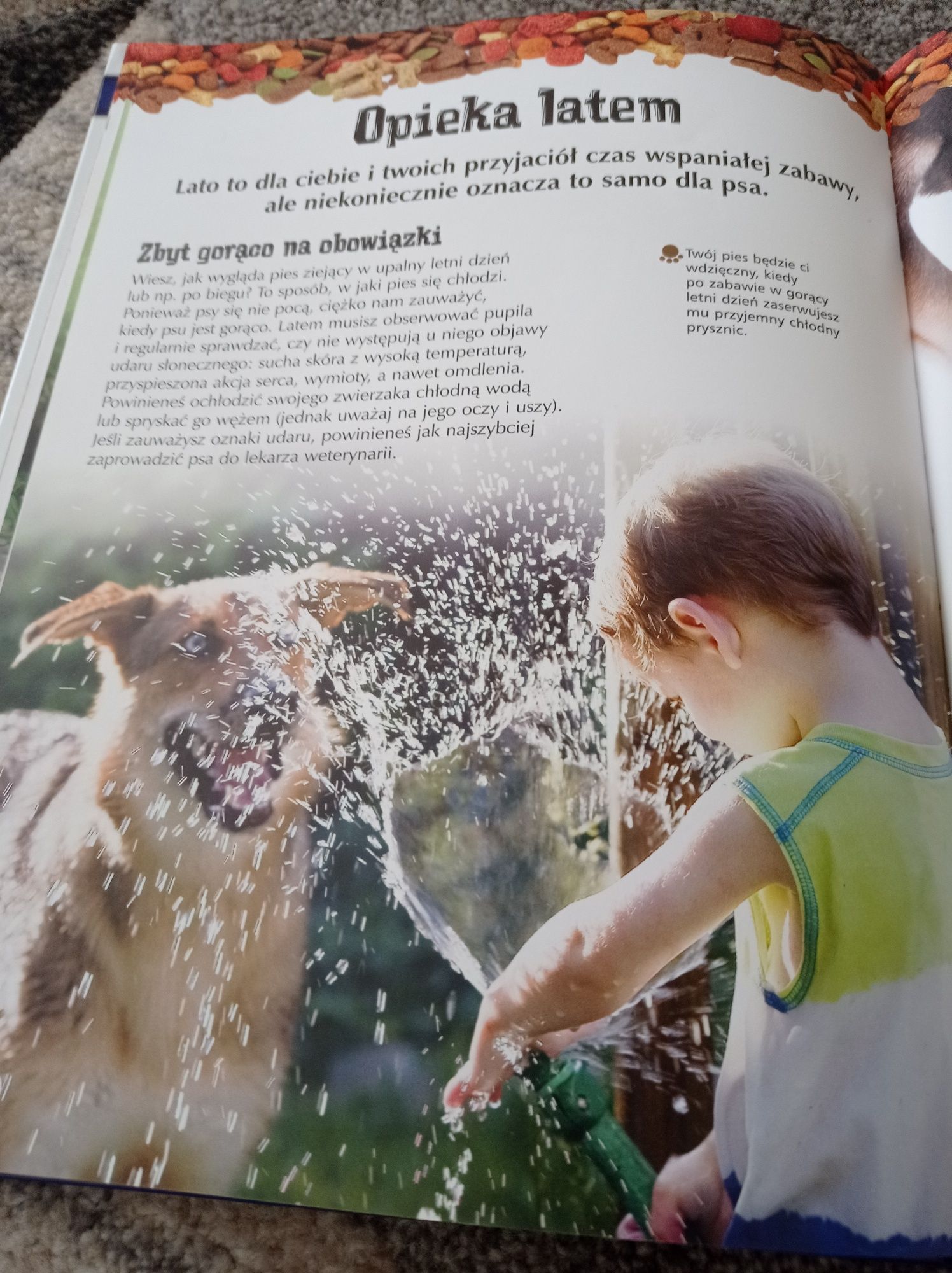 Książka dla dzieci Psy i szczenięta