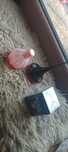 Oriflame perfumy
