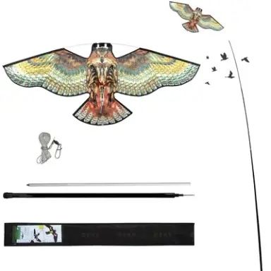 Ochrona roślin zwierząt gospodarz