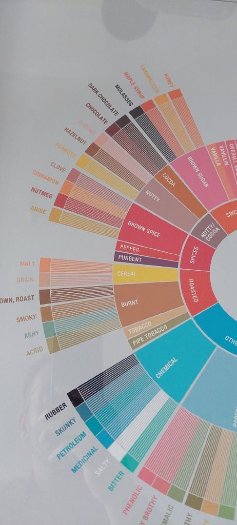 Nowy Plakat w ramie kawa coffee specialty  flavor wheel