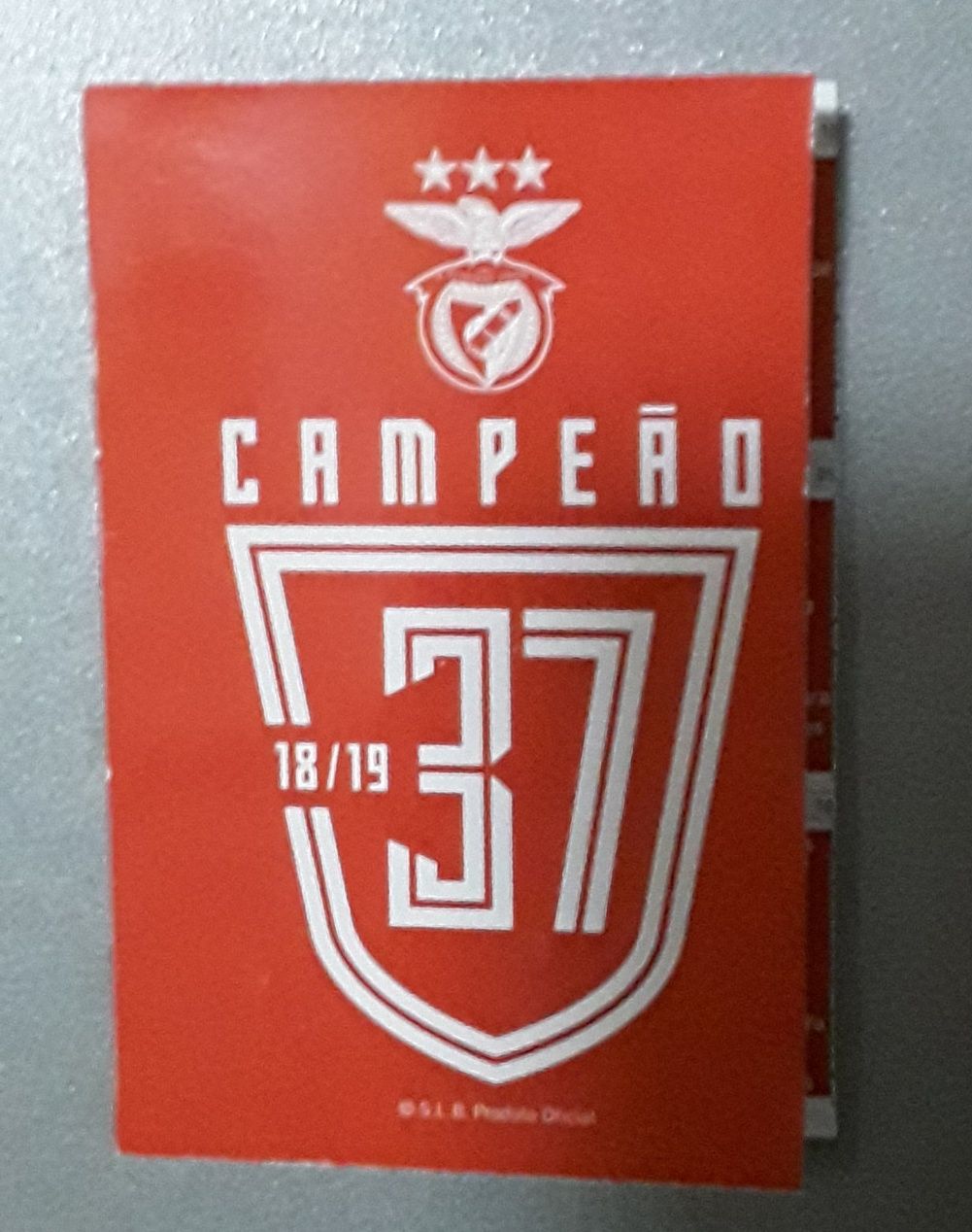 Calendário de bolso Liga 2019 ~ 2020 S L Benfica