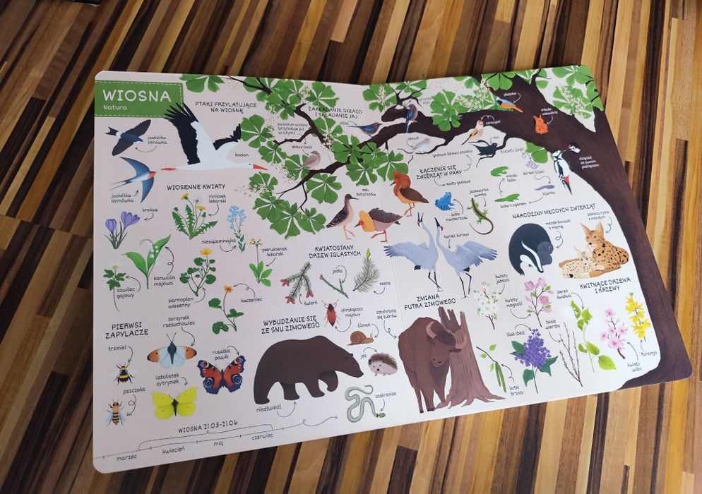 Co jest w środku? Dom pory roku książki obrazkowe dla dzieci