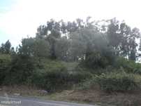 Terreno  para venda