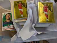 Cromos Panini futebol 2024 / 2025