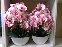 Sztuczny Storczyk Orchidea Jak Żywy Pewna Szybka Wysyłka Magnolit