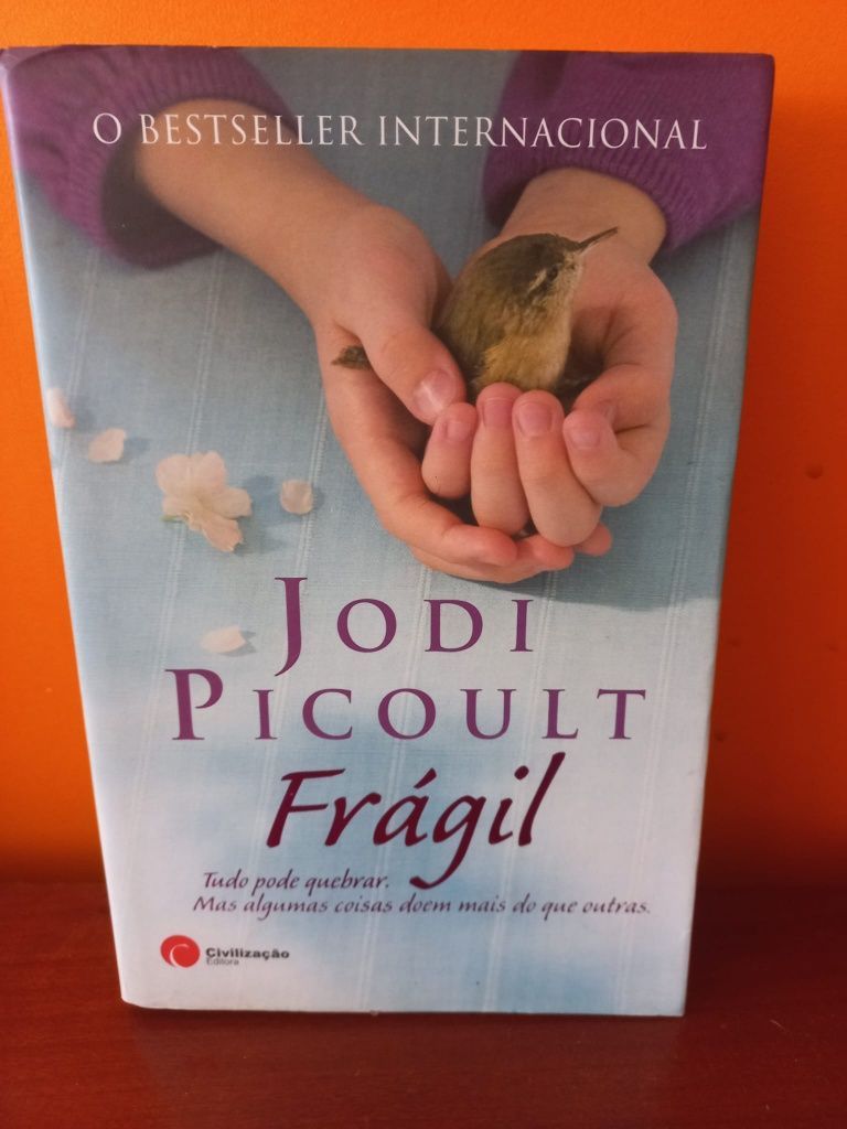 VENDO LIVROS Lesley Pearse/Jodi Picoult