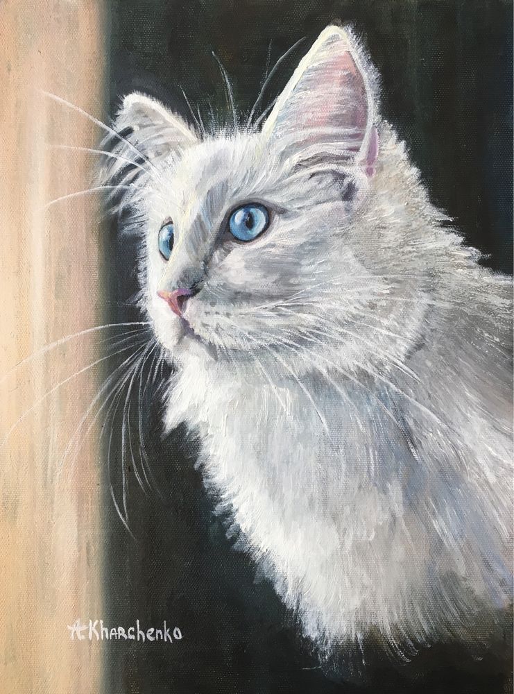 Картина «Неизвестный кот с голубыми глазами»