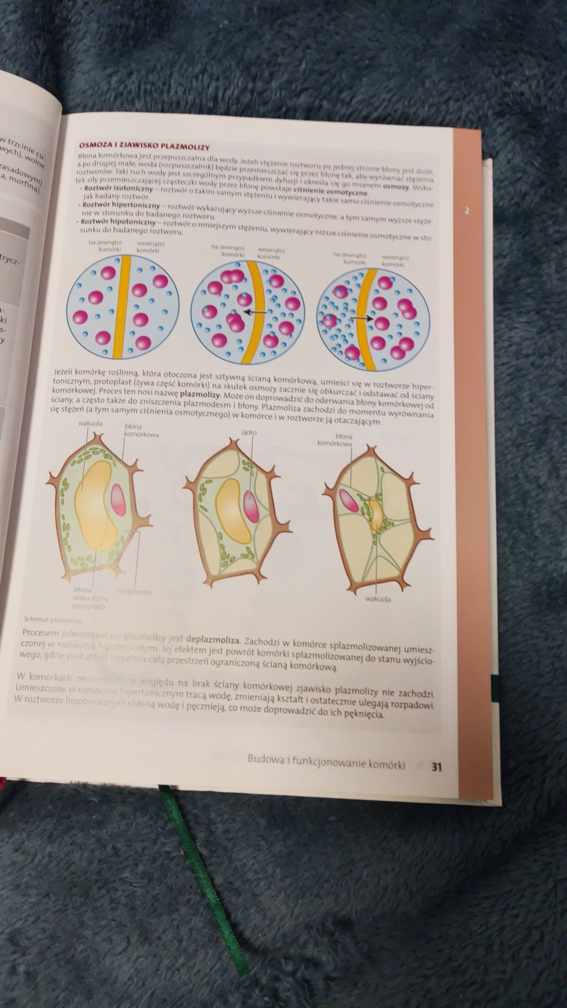 Vademecum Biologia wyd. Operon