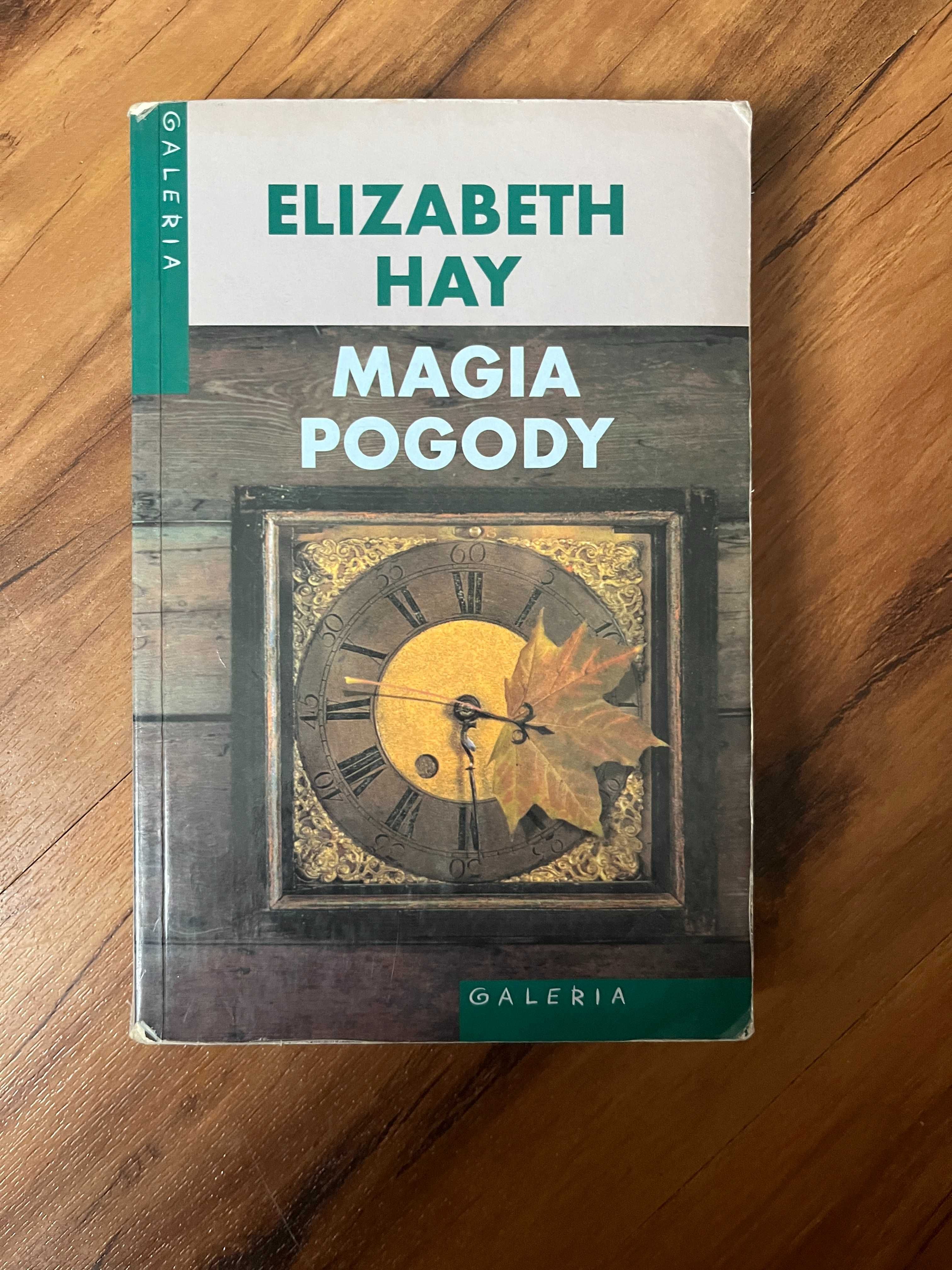 Elizabeth Hay, Magia pogody