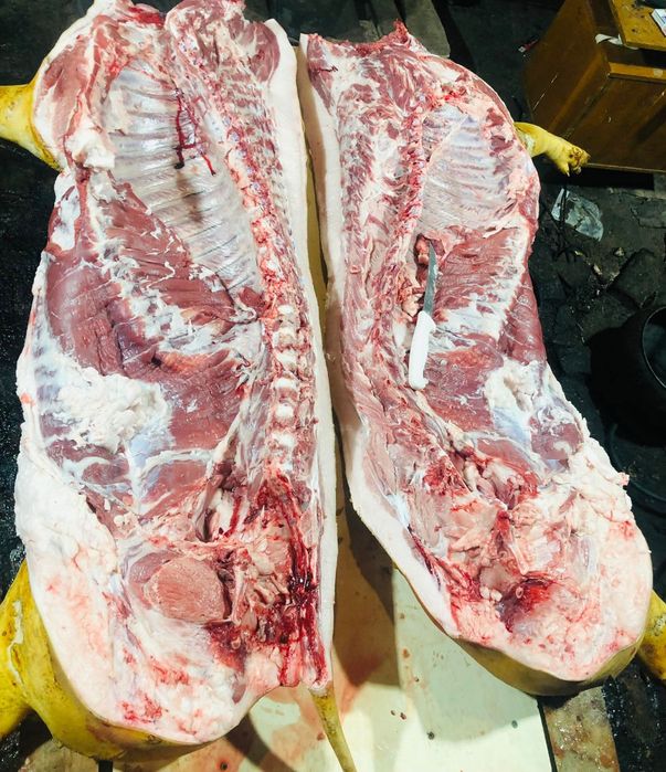 Продам тушки домашніх свиней