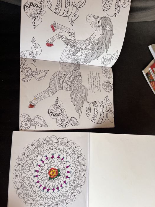 Mandala fun , kolorowanka , Kolorowanki jeździeckie