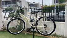 Bicicleta Pasteleira em bom estado