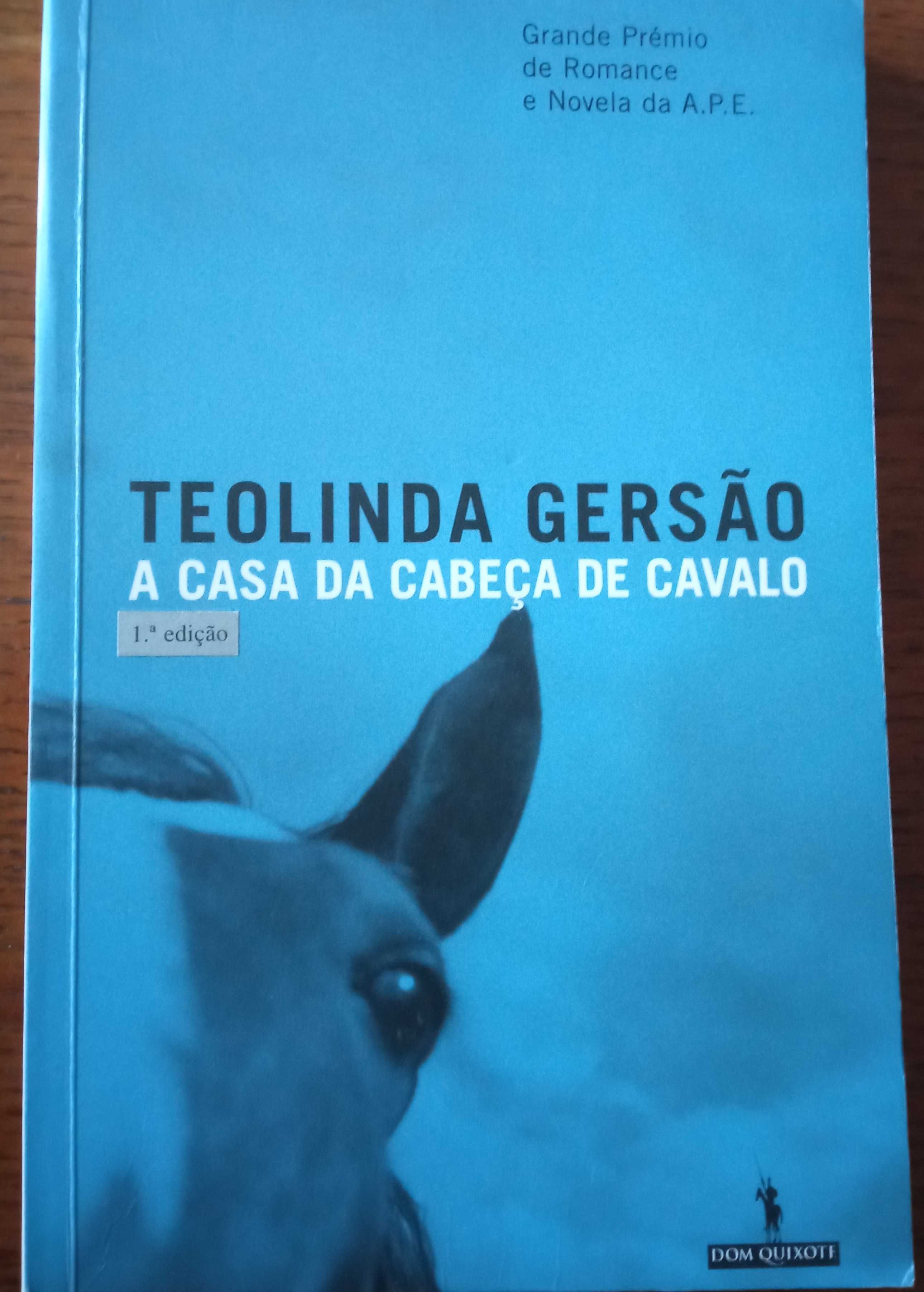 Teolinda Gersão «Passagens» 1ª edição + 11 títulos