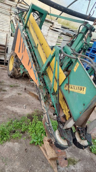 Máquina apanhar/colher alho frances