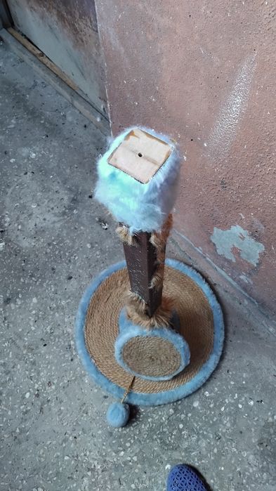 Когтеточка под реставрацию