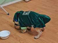 Курточка ветровка для собак