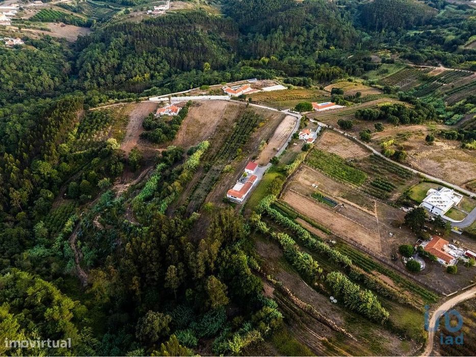 Casa / Villa T5 em Usseira de 304,00 m2