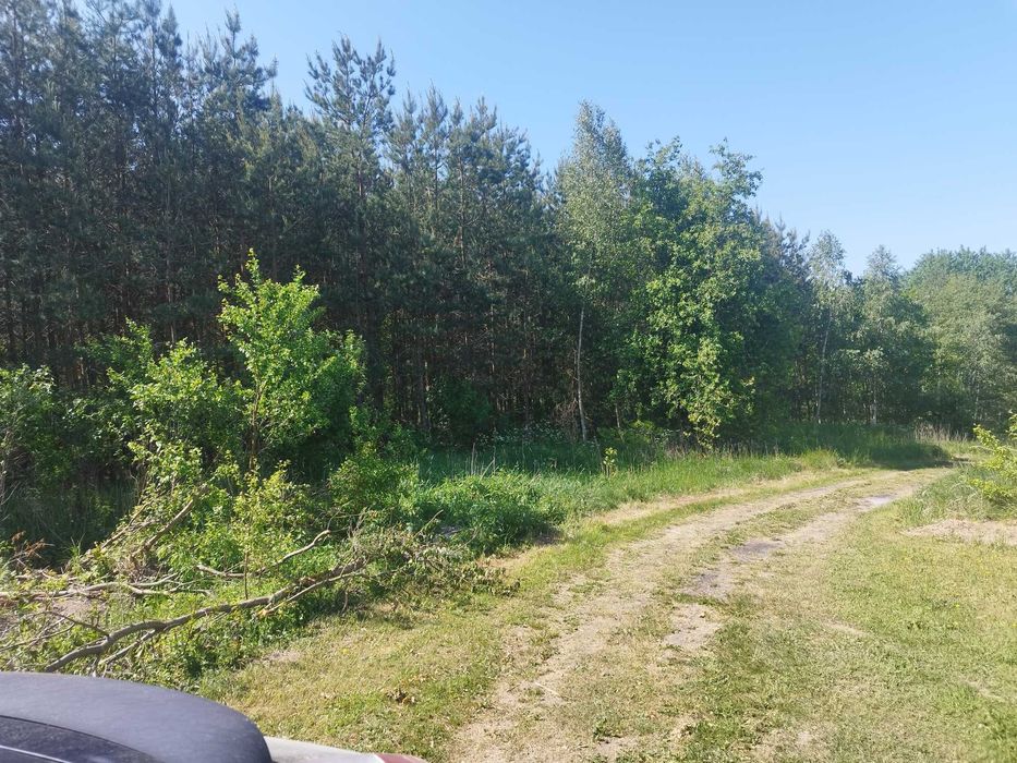 Działka budowlana Mazury przy Lesie