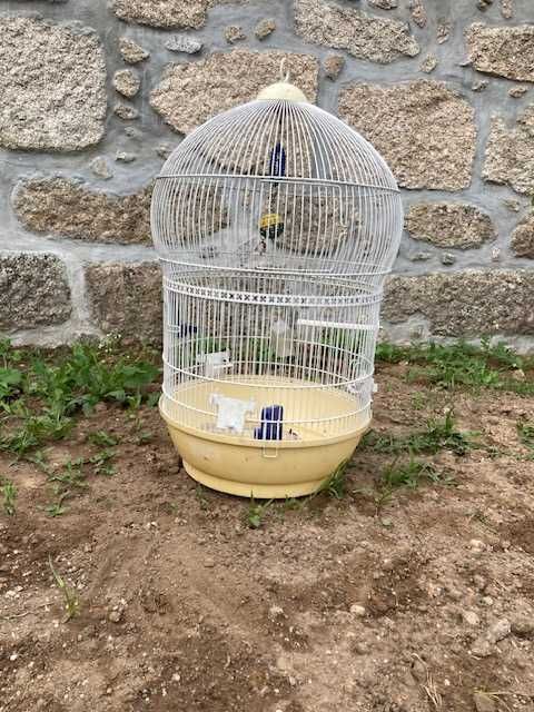 gaiola grande com alguns acessorios
