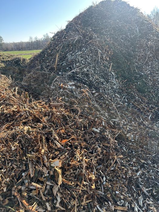 Zrębka mieszana sosna brzoza sliwka gruszka jablonka