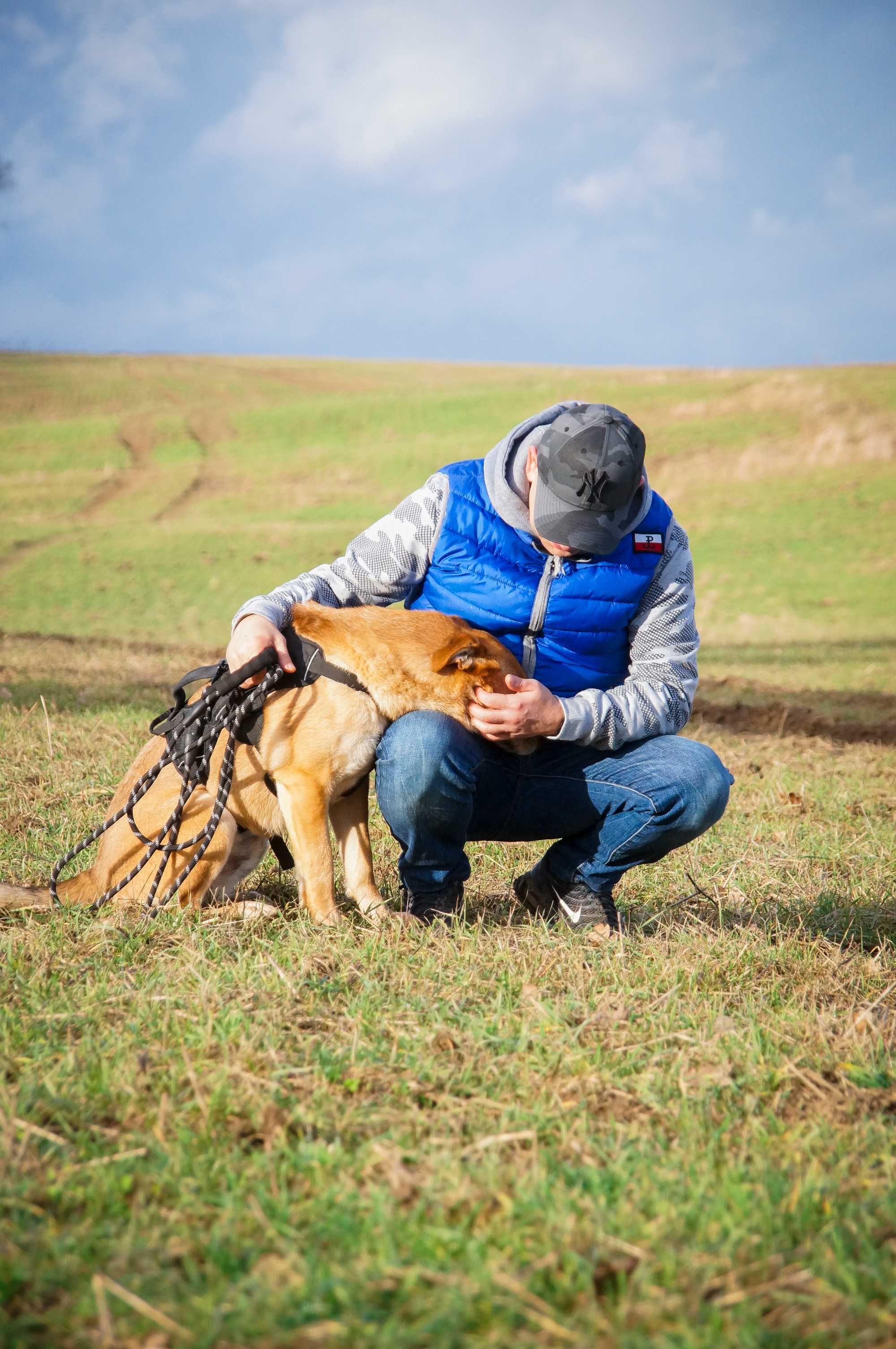 SKUBI - przyjazny i wesoły piesek do adopcji.