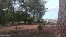 Terreno  para construção ideal para moradia unifamiliar