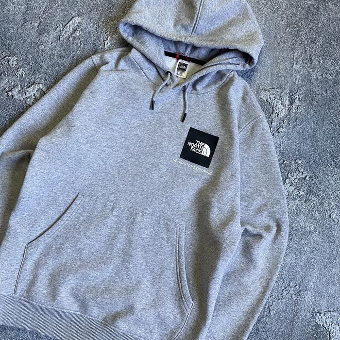 Худі від the morth face BOX logo, сірий худак від тнф з бокс лого
