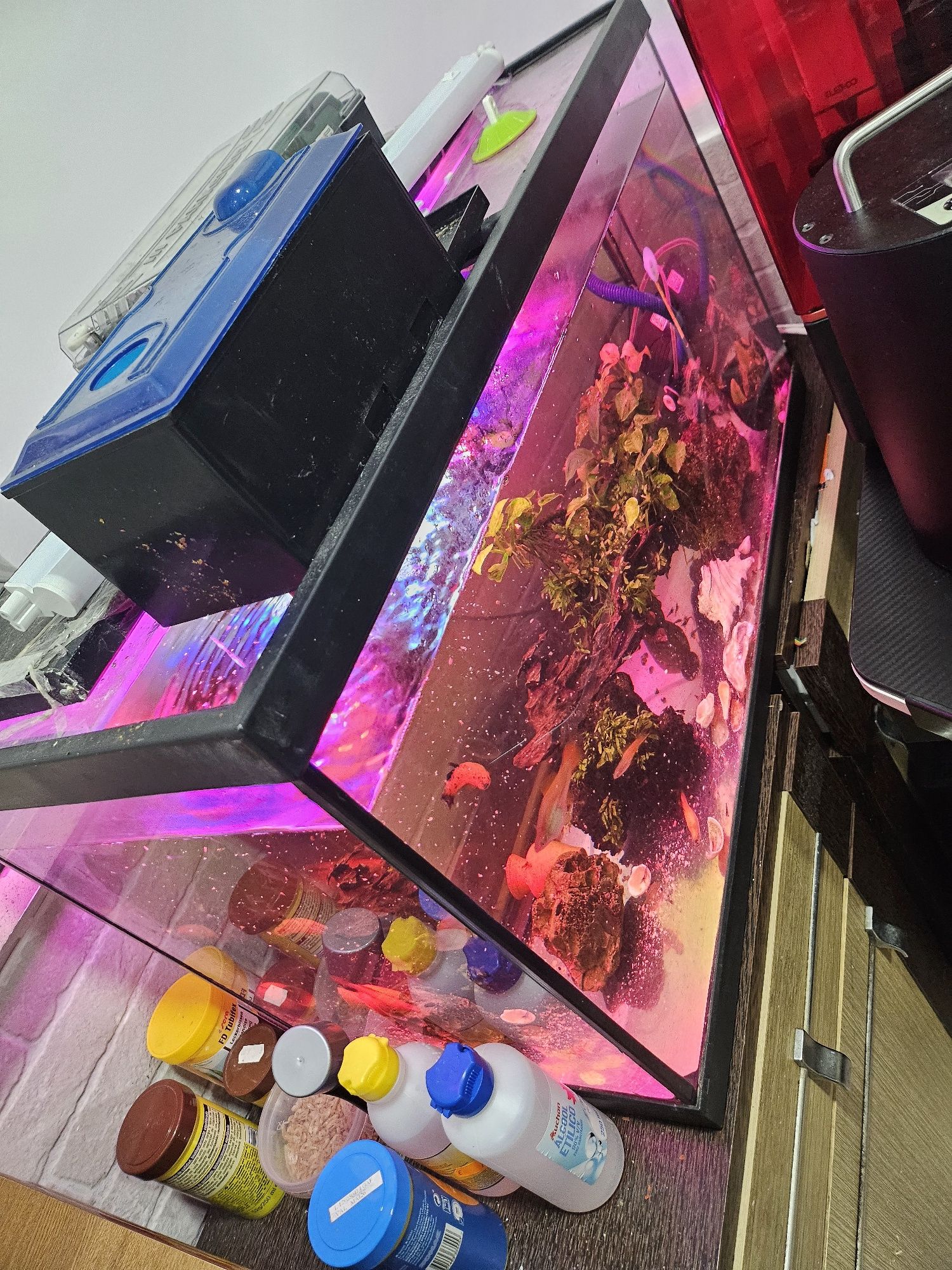 Aquário 80l completo