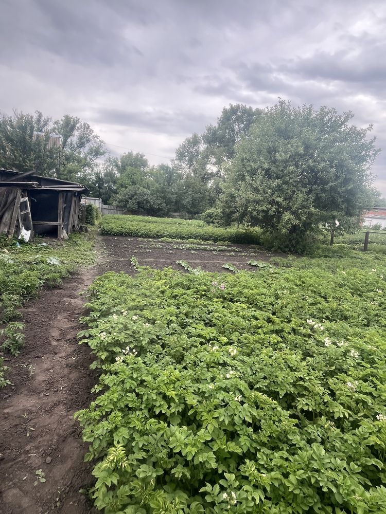 Продається дім в Степанівці ( Цукровий завод )