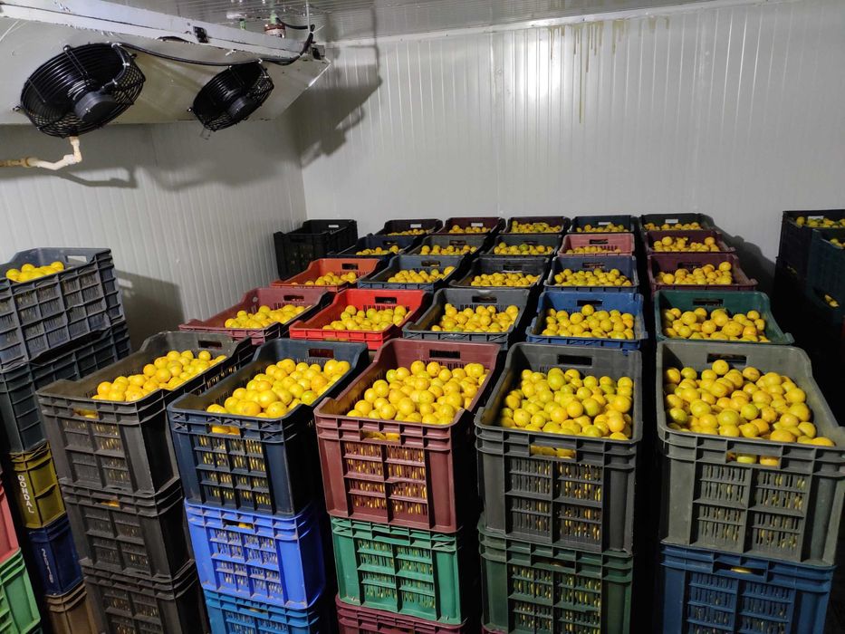 Агрегат зберігання охолодження полуниці, малини, камера морозильна