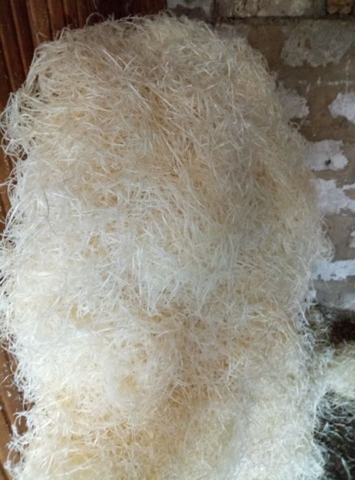 Продам древесную шерсть из древесины