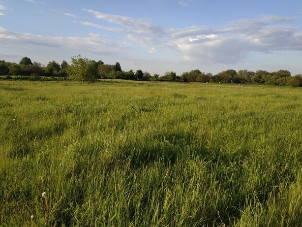 Продам земельну ділянку під забудову 15сот Полтава р-н. с. Мачухи