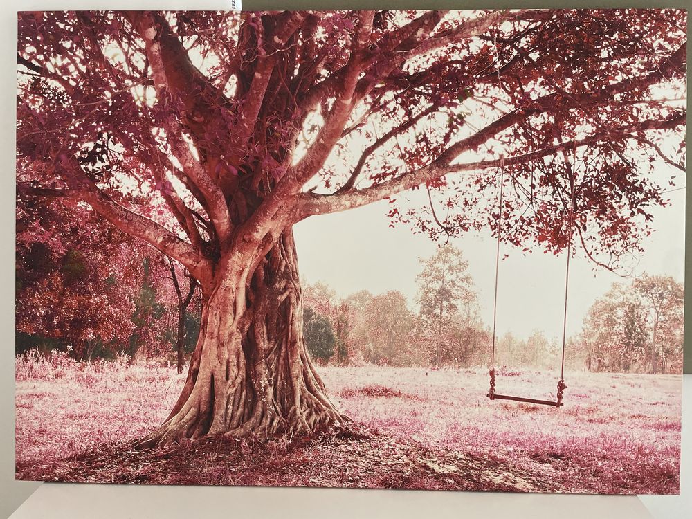 Quadro XL the tree swing