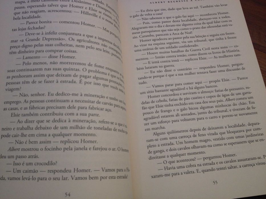 Homer Hickam - Albert regressa a casa