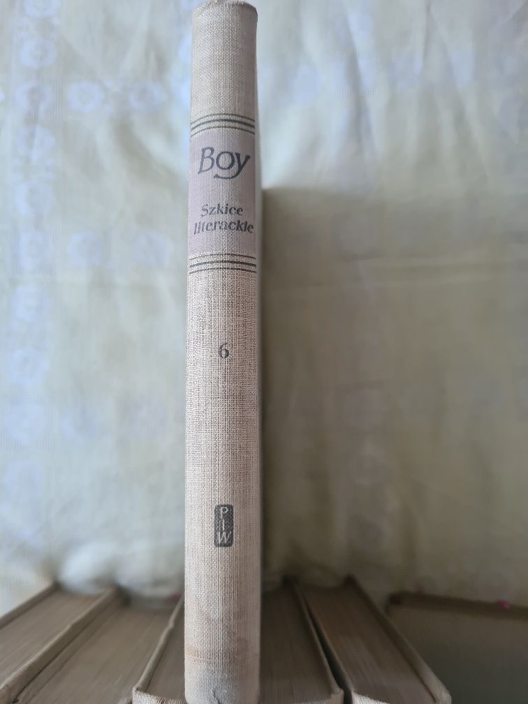 Szkice literackie, Tadeusz Boy-Żeleński