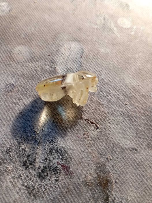 Жук из янтаря. подарок.