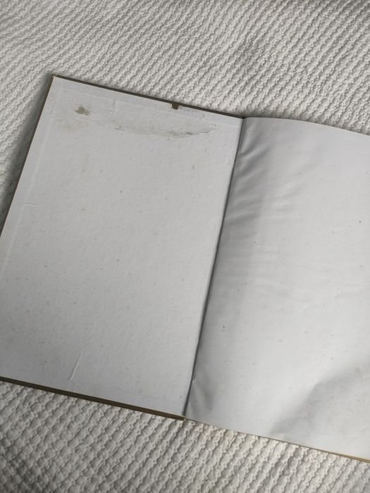 Livro "Fátima 1.9.1.7-2.0.1.7: Livro de Ouro",